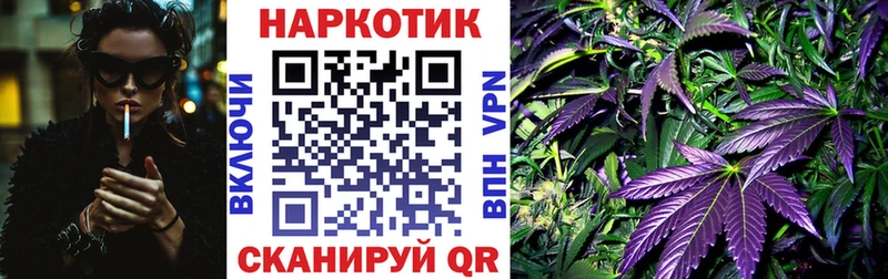 Купить наркотики цена Всеволожск Псилоцибиновые грибы Alpha PVP Мефедрон Марихуана КОКАИН ГАШИШ