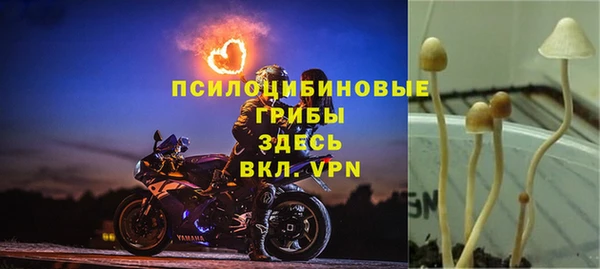 ешки Алексин