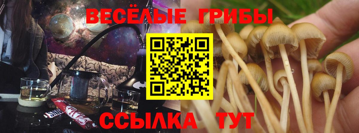 Псилоцибиновые грибы MAGIC MUSHROOMS Всеволожск