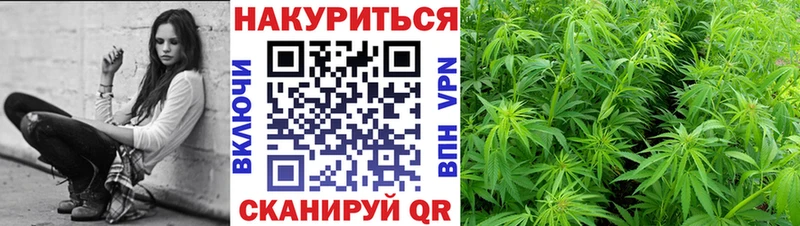 купить закладку omg МАРИХУАНА MAZAR Всеволожск